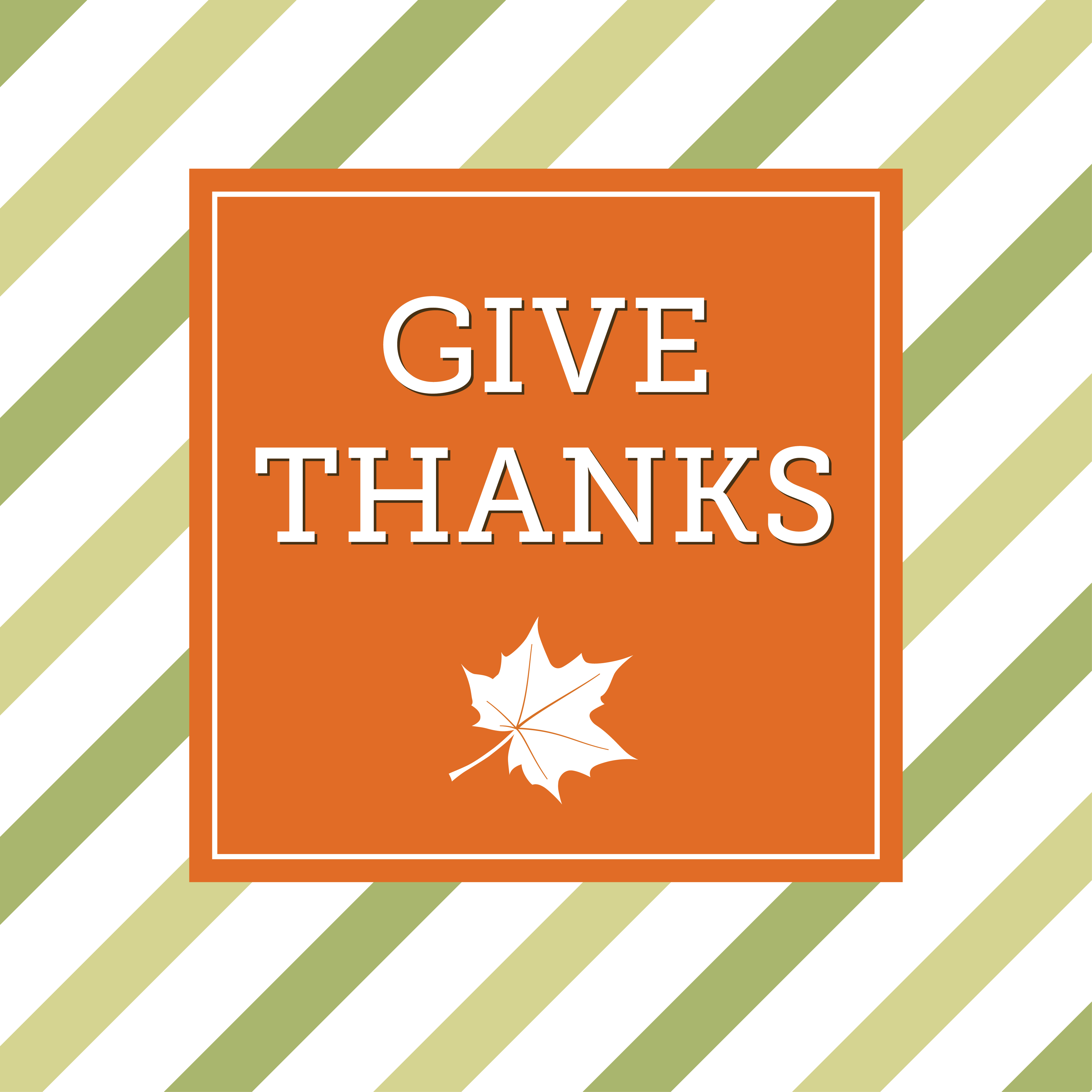 Happy Thanksgiving!